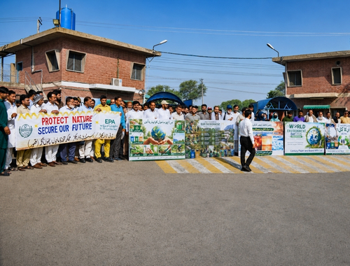 Environmental Initiatives Image 1