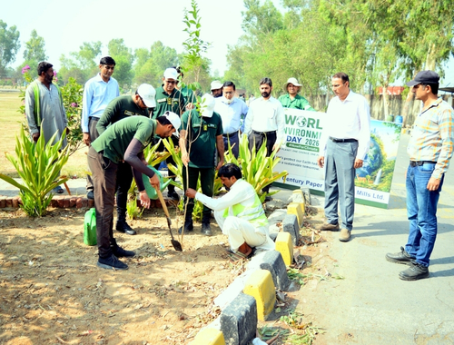 Environmental Initiatives Image 2